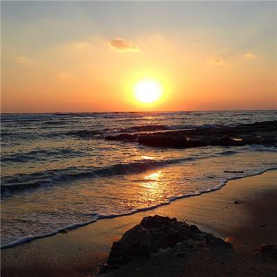 江南体育app下载手机app下载截图